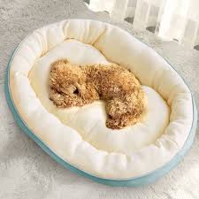 Pet Bed